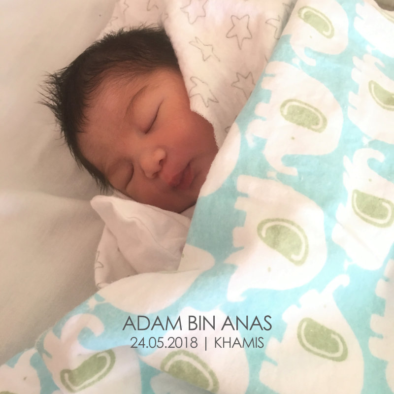 Adam Bin Anas